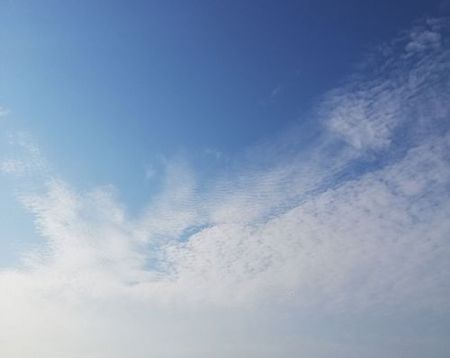 20200530.jpg
