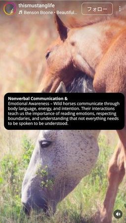 5lessonsfromwildhorses4_small.jpg