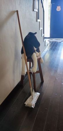 cleaninghorse.jpg