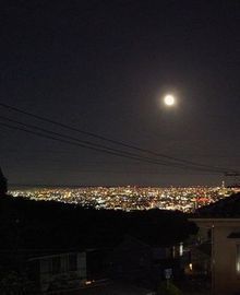 night.jpg