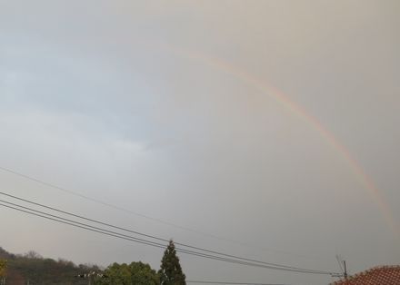 raimbow.jpg