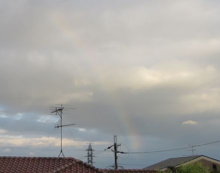 rainbow.jpg