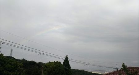 rainbow201806_s.jpg
