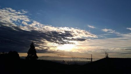 roadoflight_s.jpg