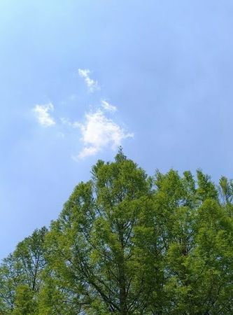 sky.jpg