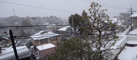 snow.jpg
