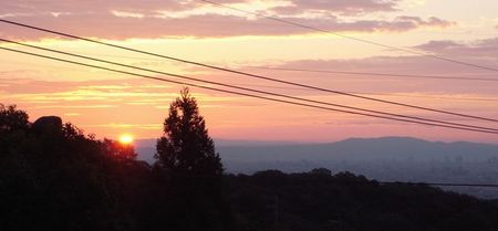 sunrise.jpg